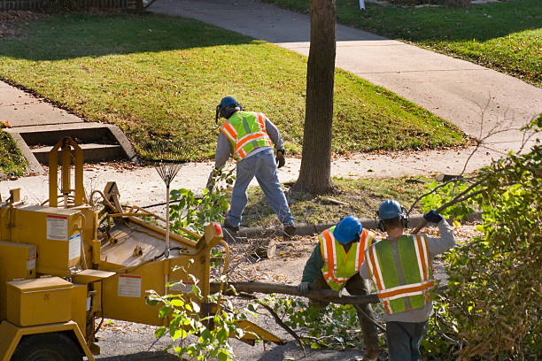 Best Lawn Watering Services  in Arapahoe, NE